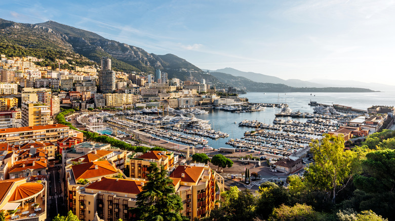 Monaco sunlit port and mountains