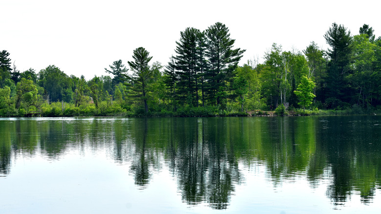 Bewabic State county park with water view