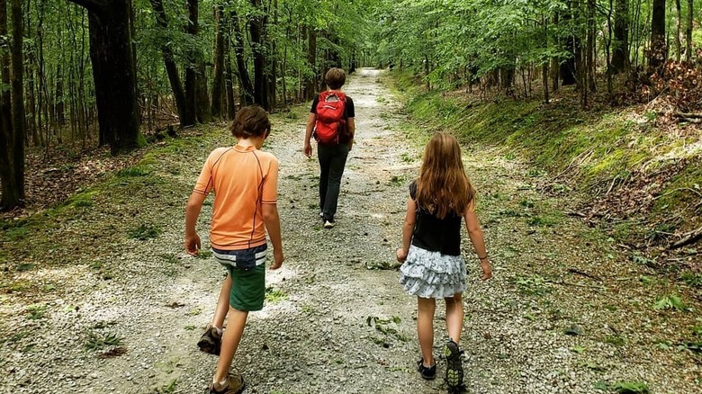 three children walking down trail surrounded by trees
