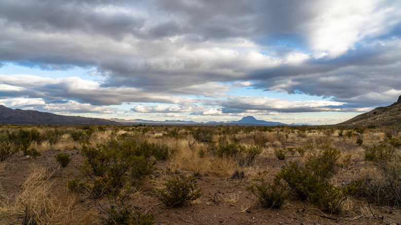 West Texas landscape