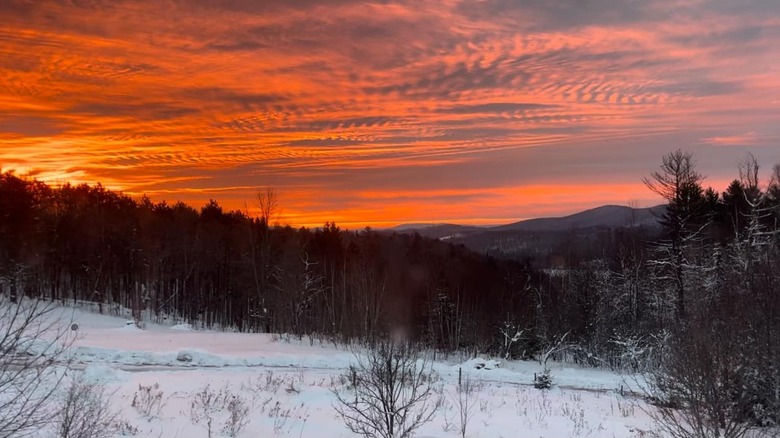 Sunrise over snow and winter trees in Verhsire