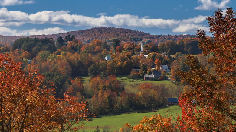 Fall foliage in Vermont