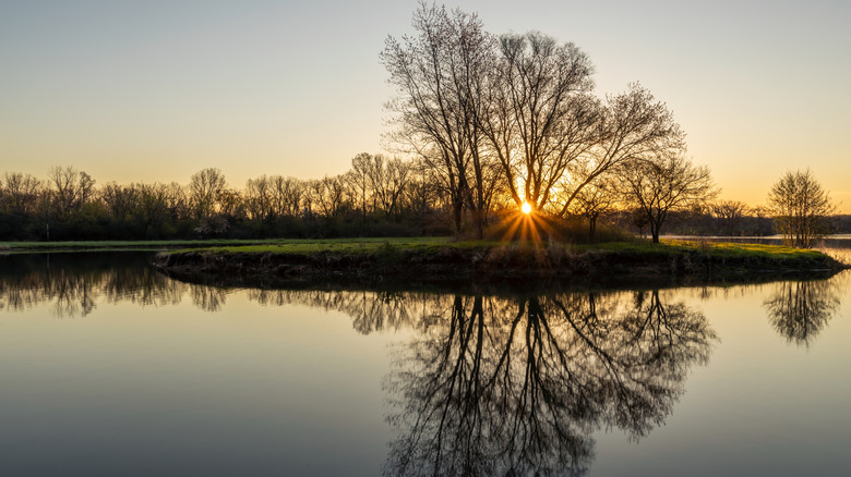 Sunrise at Busse Woods
