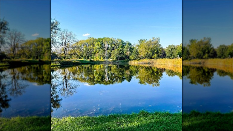 A pond in Heritage Park, Farmington Hills