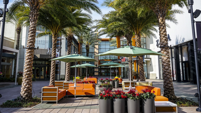 Palm trees and outdoor seating at The Florida Mall in Orlando
