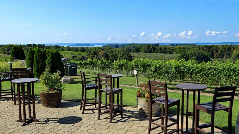 A collection of tables and chairs face a lush vineyard north of Traverse City