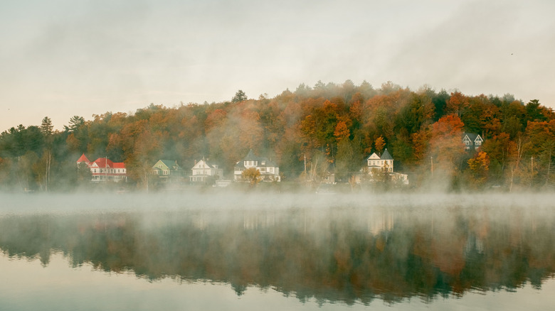 Early morning mist over Lake Flower