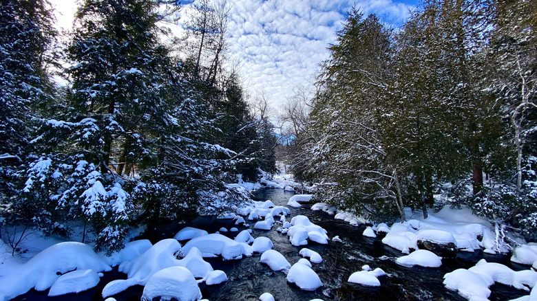 Snowy creek by Saranac Lake