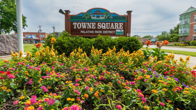 Town square sign in Palatine, surrounded by flowers