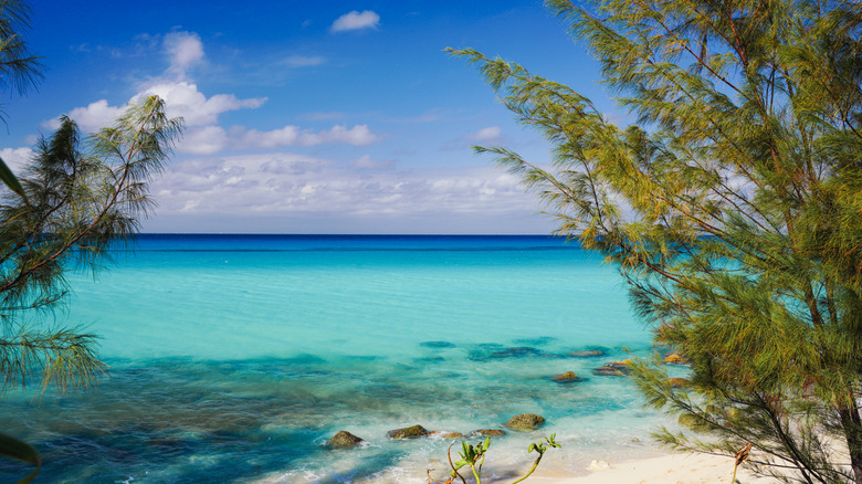 Beach in Bimini, Bahamas