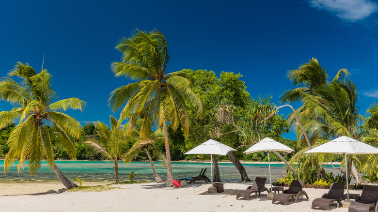 Beach chairs and umbrellas on white sand, against a backdrop of blue sky, palm trees, and turquoise waters