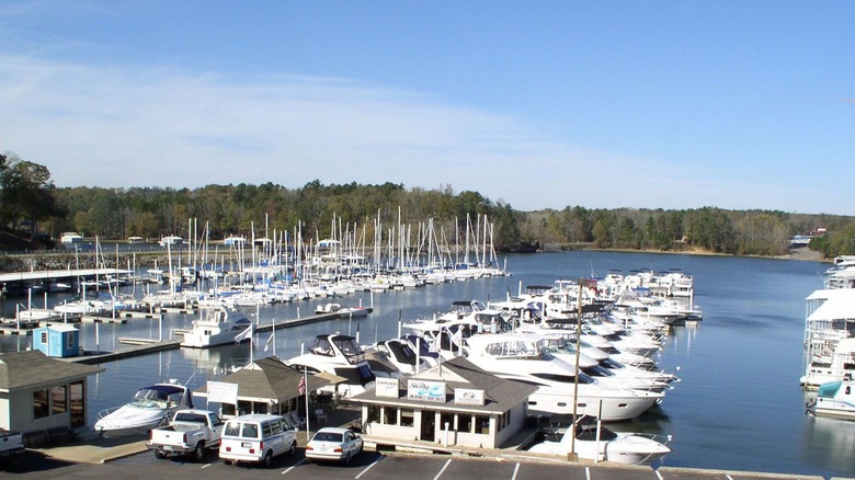 Daytime view of many white boats at Aqua Yacht Marina