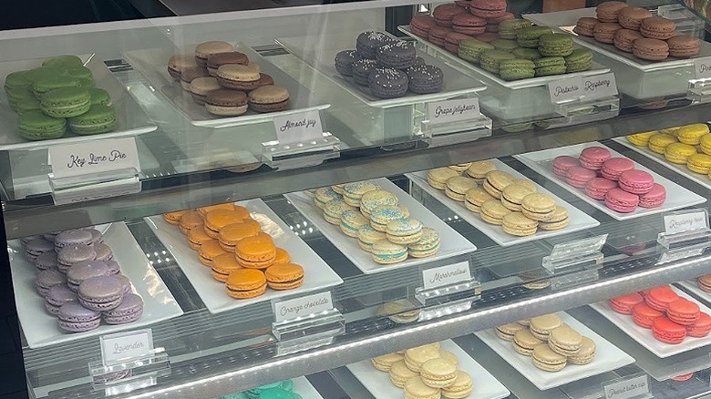 Colorful macarons of various flavors on display at Nikkolette's Macarons in Plymouth, Minnesota.