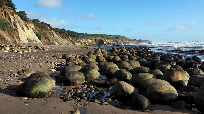 An expanse of rocks at Bowling Ball Beach