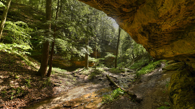Shades State Park cliff overhang