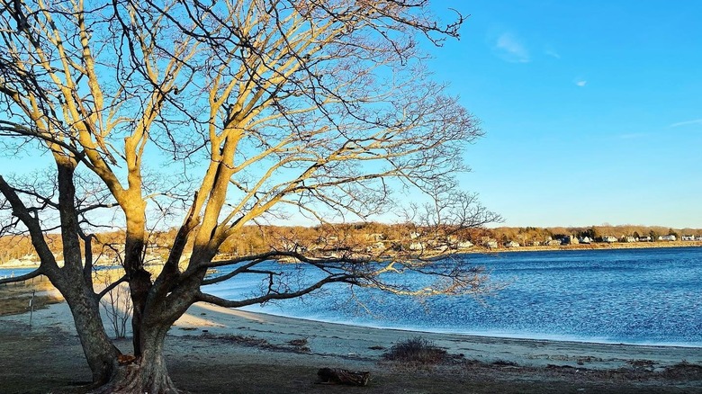 Teddy's Beach in Portsmouth, Rhode Island