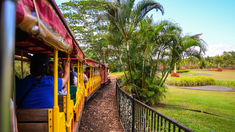 On board Dole Pineapple Express Train