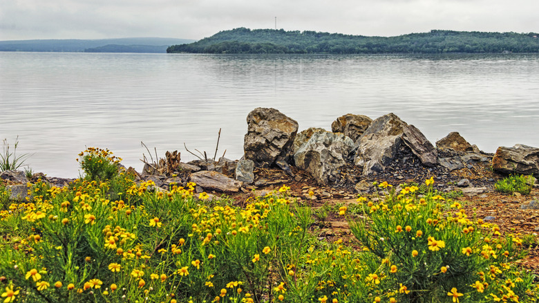 Shore of Lake Dardanelle in Russellville, Arkansas