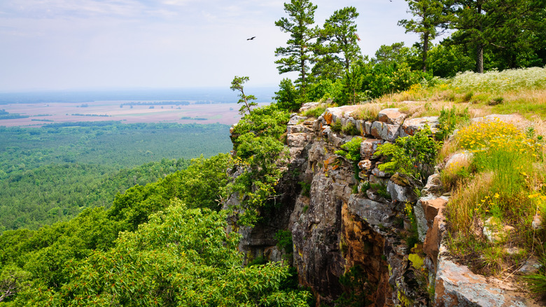 Cliff edge at Petit Jean State Park