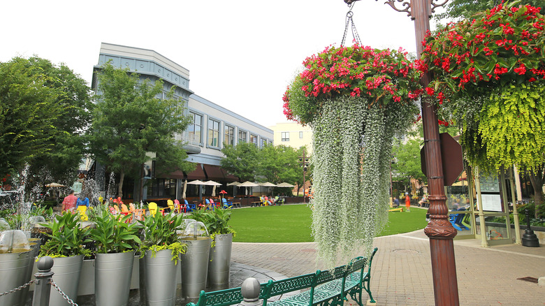 Basket of flowers hanging in Overland Park, Kansas