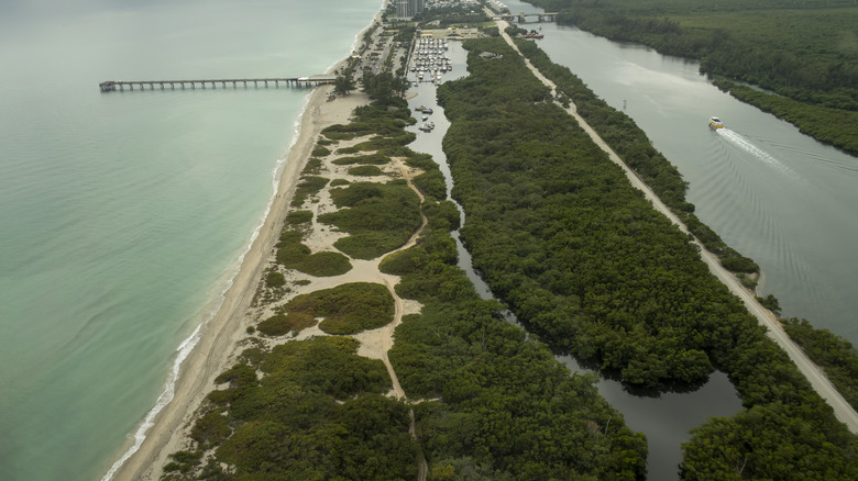 Aerial view of Mizell-Johnson State Park in Dania Beach, Florida