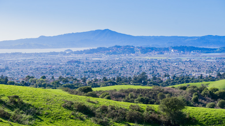 Views from Wildcat Canyon Regional Park