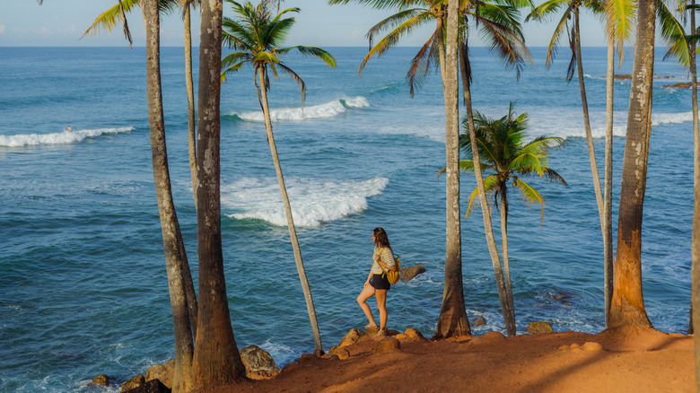 Young traveler standing near the coast under palm trees