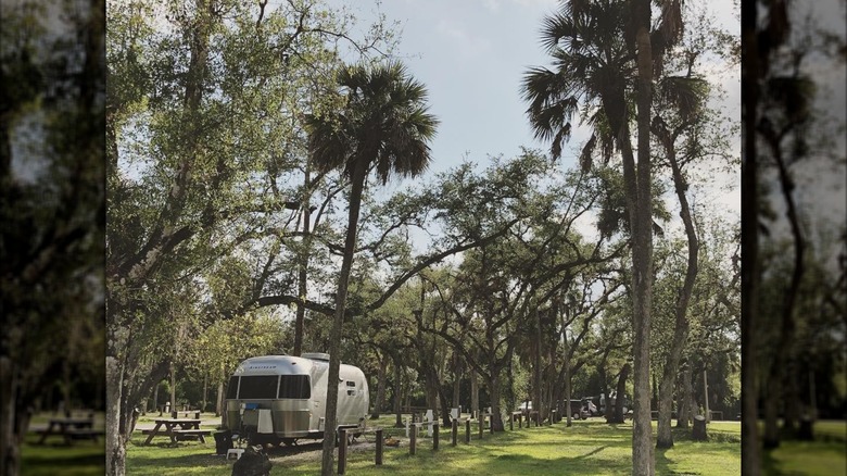 Camping at Collier-Seminole State Park