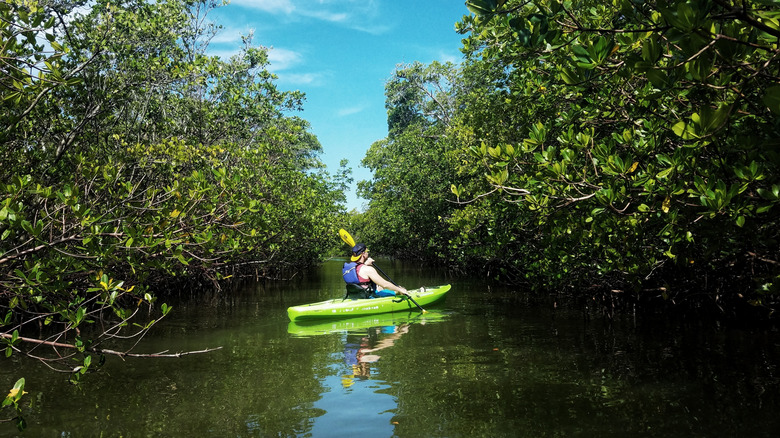 Kayaking in Florida