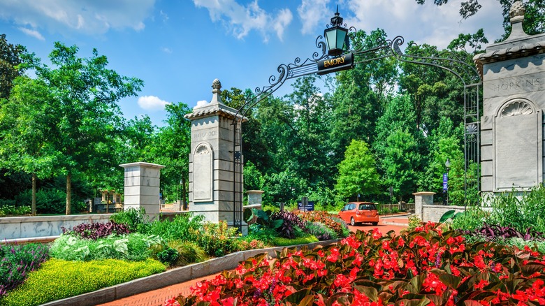 Blooming flowers at Emory University