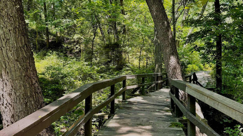Boardwalk through trees at Platte River State Park Nebraska