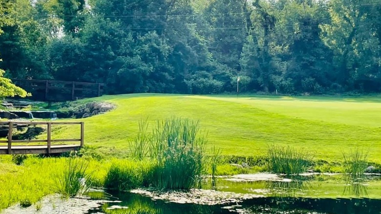 One of the many tree-lined trails of Hudson's parks is on view