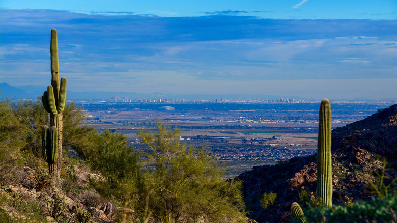 View of Phoenix from White Tank Mountain Park