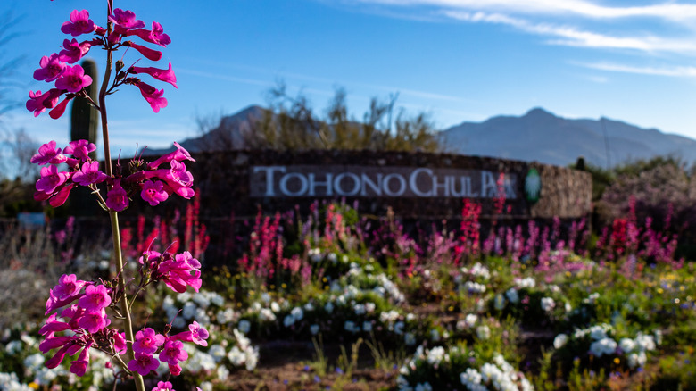 Entry to Tohono Chul nature park
