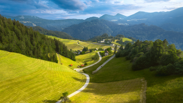 a road winds its way through alpine fields, with green mountains visible in the distance