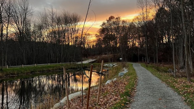 A trail at sunset in Reading, Massachusetts