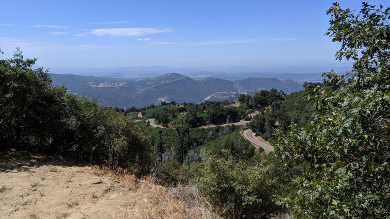 Palomar Mountain State Park near San Diego, California