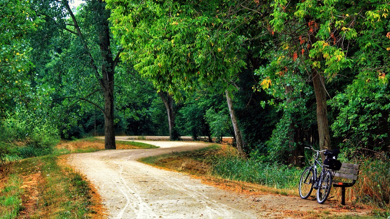 A park pathway with bike and bench