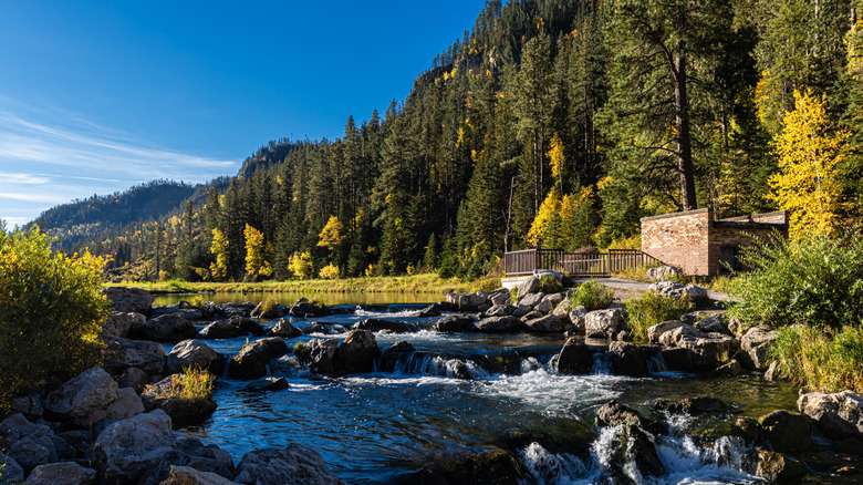 Trees and pond in Spearfish Canyon Nature Area
