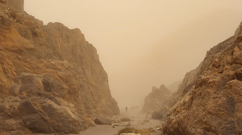 A sandstorm sweeps through Grotto Canyon in Death Valley