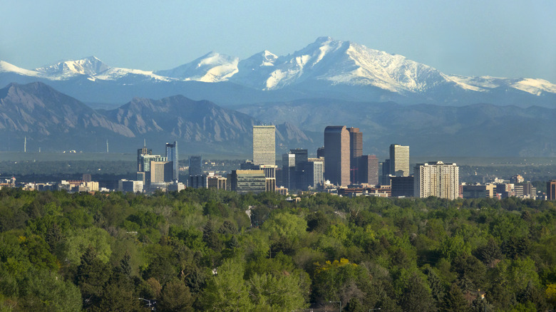 View of skyscrapers, trees, and mountains in downtown Denver.