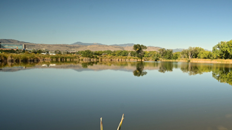 Lake at Prospect Park in Wheat Ridge, Colorado