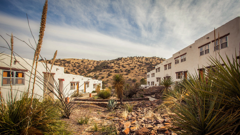 Cacti grow in the desert soil outside adobe walls at Davis Mountains State Park