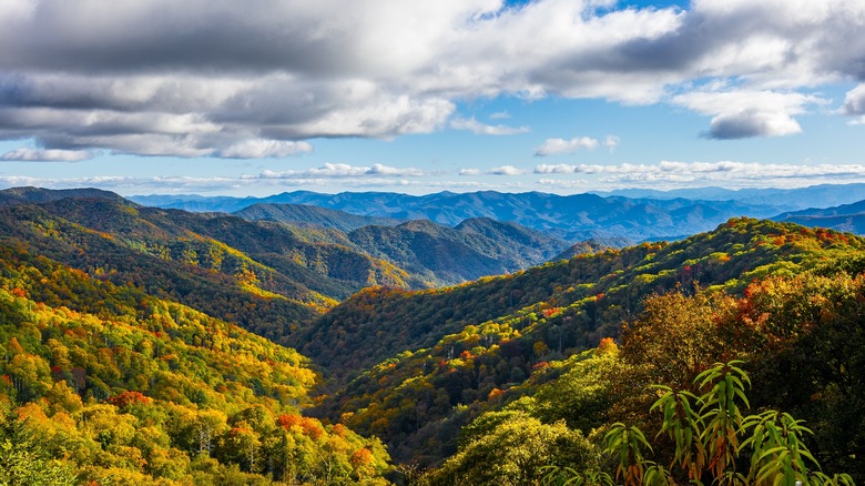 Beautiful autumn scenery in Great Smoky Mountains National Park