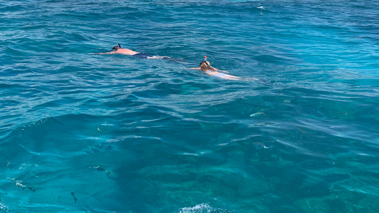 Two people snorkeling in the waters of Alligator Reef off the Florida Keys