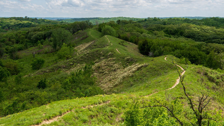 Loess Hills Forest Overlook along the Preparation Loop of the Loess Hills National Scenic Byway