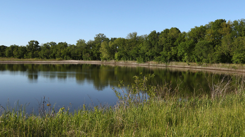 A pond in Marais des Cygnes National Wildlife Refuge