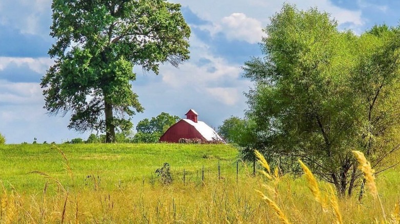 A red barn in a grassy field in Pleasanton, Kansas
