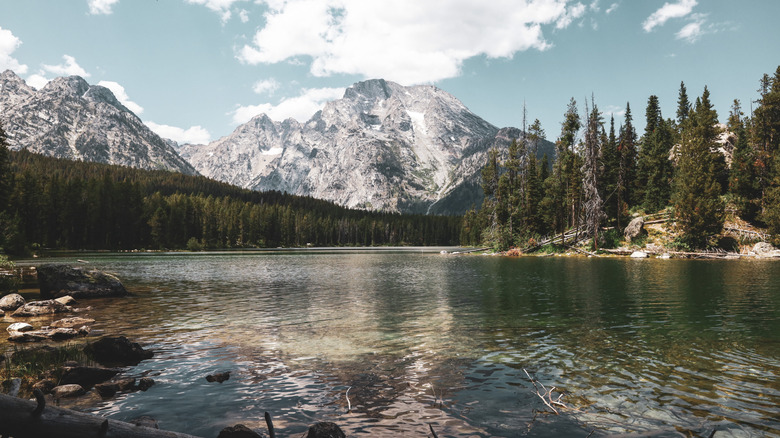 Leigh Lake reflecting snow-capped mountains and lush trees off its calm surface in Grand Teton National Park