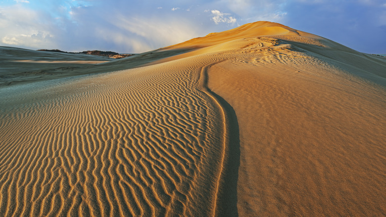Sunrise over Silver Lake Sand Dunes in Silver Lake State Park